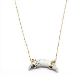 Stella and Dot horn necklace